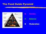 Food Guide Pyramid, The