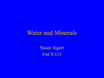 11) water and minerals