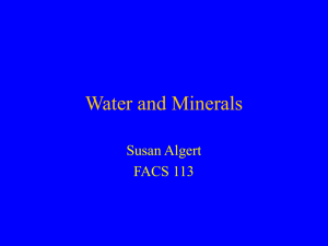 11) water and minerals