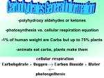 File carbohydrates chapter 12