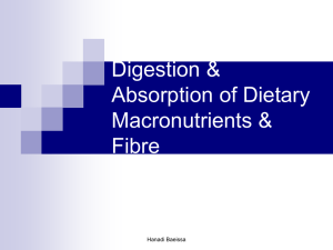 Digestion & Absorption of Dietary Macronutrients & Fibre