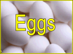 64-Eggs