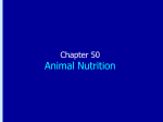 Chapter 50: Animal Nutrition