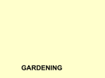 Types of gardening