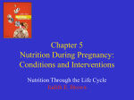 Chapter 5 Nutrition during Pregnancy: Conditions and Interventions