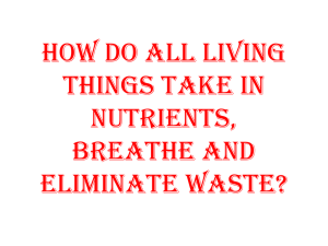 How do living things take in nutrients, breathe, and