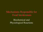 Mechanisms Responsible for Food Intolerances