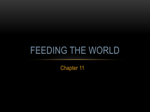 Feeding the World