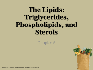 The Lipids: Triglycerides, Phospholipids, and Sterols