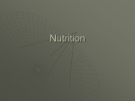Nutrition - WordPress.com