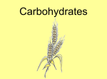FoodsICarbohydratesUnit