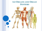 3.2 Organs and Systems