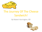 The Journey Of The Cheese Sandwich!