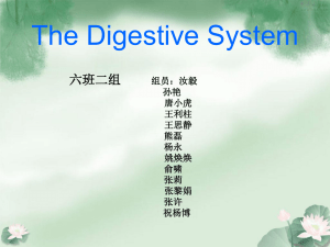 The Digestive System