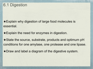 6_1_ 6_3 Digestion and Infectious Diseases PP-2
