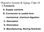 Digestive System & Aging- Chpt 10