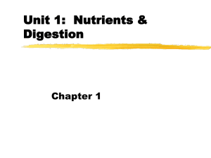 Unit 1: Nutrients & Digestion