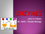 Enzymes - CNYRIC