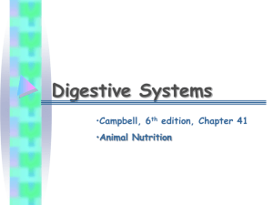 Digestive Systems - Volunteer State Community College