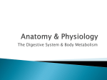 Anatomy & Physiology - Manatee School for the Arts