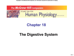 Human Physiology - Maryville University