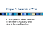 Chapter 5: Nutrients at Work