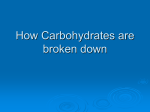 How Carbohydrates are broken down