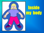 Inside my body