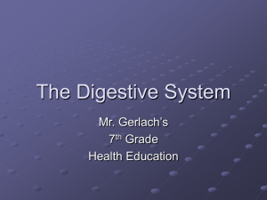 Unit 5: The Digestive System