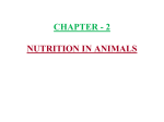 chapter – 2 nutrition in animals - e-CTLT