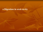 Lecture 33. Digestion in oral cavity