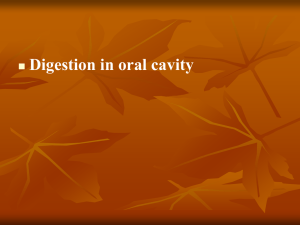 Lecture 33. Digestion in oral cavity