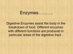 Digestive Enzymes - Warren County Public Schools