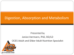 Digestion, Absorption and Metabolism