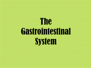 The Gastrointestinal System