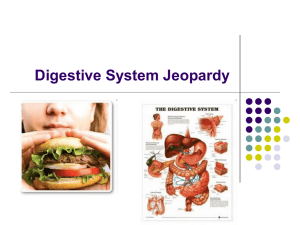 Digestive System Jeopardy - OG