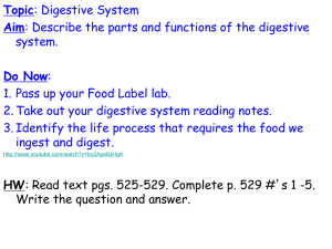 of the digestive system.