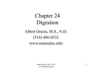 Chapter 24 Digestion