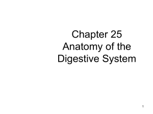 Chapter 7 Body Systems