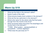 FUNCTION of the SMALL INTESTINE