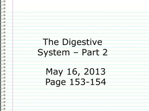 Evidence The Digestive System – Part 2