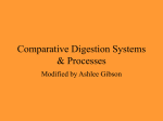 Comparative Digestion Notes