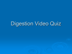 Digestion Video Quiz