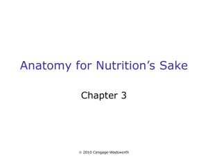 Anatomy for Nutrition`s Sake