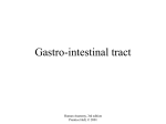 28. Gastro-intestinal tract