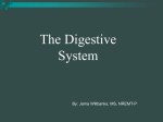 Digestive system review game