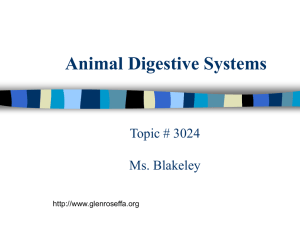 Animal Digestive Systems