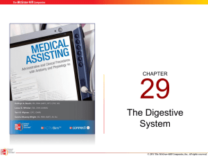 The Digestive System - McGraw Hill Higher Education