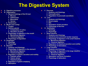 Powerpoint 23 Digestion