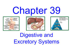 Chapter 39 - Industrial ISD